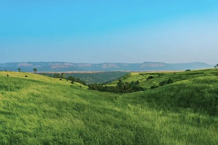 Rustomjee Plots Thane Plots For Sale Image Rustomjee Plots Thane Plots For Sale Image